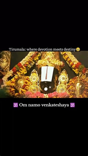 Govinda Govinda 🔔Where Miracles Happen 💫 #tirumala #tirupatibalaji #govinda #balaji #ttd3 #tirupati