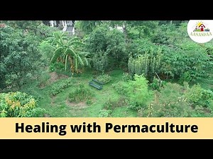 Transformation of Aanandaa Permaculture Farm in 10 years