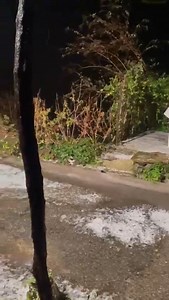 🟠 #PLUIE 21h10 - DES ORAGES DILUVIENS AVEC GRÊLE à 10 jours de Noël 🎄 150 mm dans le secteur de Lézignan-Corbières, 180 mm dans le secteur de Tuchan. Heureusement, la ligne orageuse se décale vers l'Est 🙏 il va pleuvoir toute la nuit sur l'Hérault et le Gard ainsi qu'en Lozère. Attention entre le Minervois, l'Espinouse et le haut Lodévois où des cumuls importants sont attendus. Il devrait tomber 250 mm en 36h dans le secteur de Castanet-le-Haut (34). Bientôt la fin de l'épisode dans les Pyrén