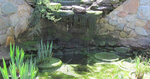 Why You'll Love The Aquascape Ion-Gen System For Your Pond