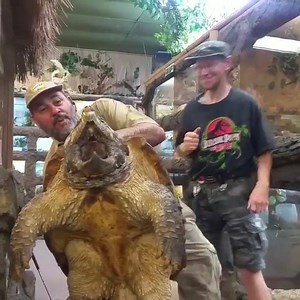 10K views | Having some fun with Jay Dog livingthedream with big lou a giant alligator snapping turtle @thereptilezoofv this guy is over 100 years old wish we knew his birthday is this cool enough to tag a friend | Jay Brewer | Facebook