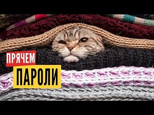 Очень подробно: Как придумать надёжный пароль и защититься от взлома или обыска? Где хранить пароли?