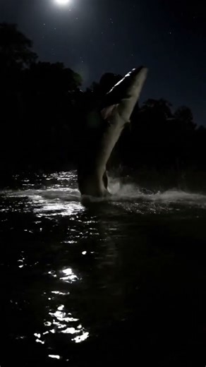 8 Seconds of Pure Amazement: Giant Amazon Fish Leaps Out of the River! 🐟 #nature #wildlife #usa