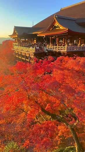 清水寺の紅葉と夕焼けの絶景