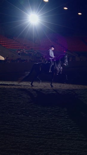 26K views · 142 reactions | Don’t miss the Eastern States Exposition Horse Show at The Big E!  From the agility and grace of the Hunter and Saddlehorse classes to the sheer strength on display at the Draft Horse show, these prestigious competitions are a highlight of the Fair. Entries are still open, but deadlines are quickly approaching. Submit yours and join us in the ring.  bit.ly/ESE-HorseShow | The Big E | Facebook