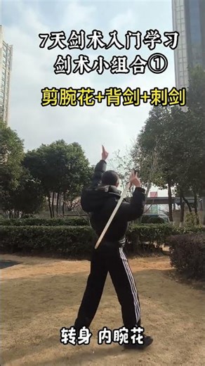 7-day Beginner Swordsmanship Learning Swordsmanship Mini Set 1#Swordsmanship