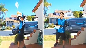 Amazon delivery driver goes viral after accidentally tossing package onto roof during bug scare