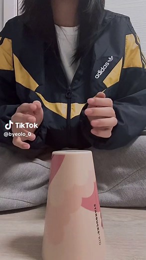 Pitch Perfect Cup Song Tutorial and Cover | Cups | 컵타