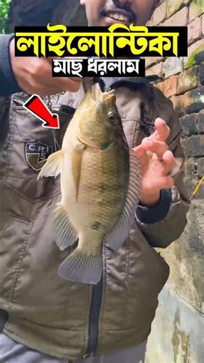 😉কেলমা দেখিয়ে বিকাল বেলা মাছ ধরলাম#fishing #shortsfeed#minivlog#machdhora#viralvideo#fish