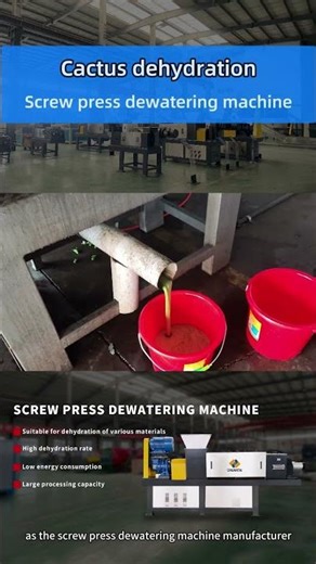 Cactus is dehydrated in a screw press dewatering machine