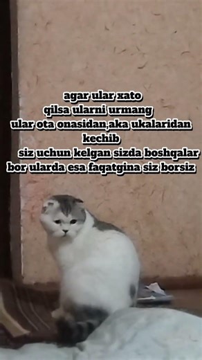 обуна болинг