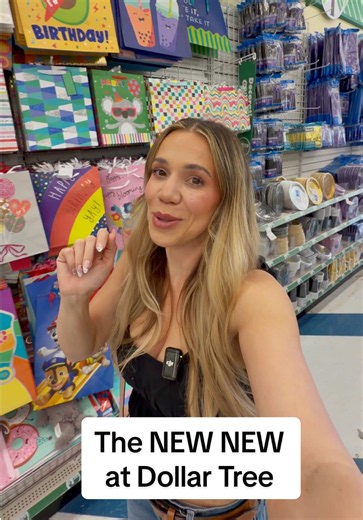 Dollar Tree New Finds 2026 — Best Dollar Tree Beauty & Viral Products