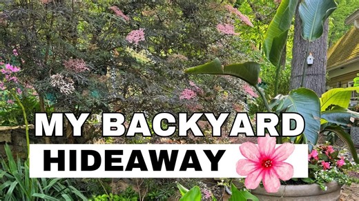 My Backyard Retreat: Zen Garden, Rare Houseplants & Shade Garden Design Ideas