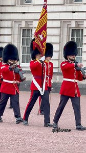 Coldstream Guards during Sunday Parade #coldstreamguards #sundayparade #kingsguard #buckinghampalace #london | Donna Sharene