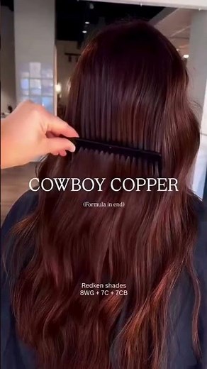 Cowboy Copper Hair Transformation ✨ Redken Shades Formula