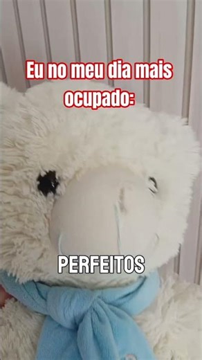 O Trabalho do Pimpão. #memes #mayday #shorts