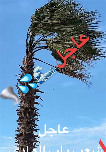 Vidéos de sassi_🎶🎬 (@studio_sassi_16) avec son original - sassi_🎶🎬