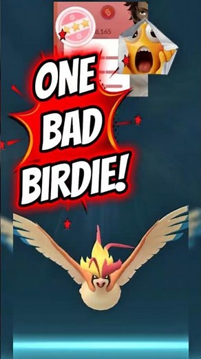 Pokémon GO: From 4★ Pidgey to Mega Pidgeot! The Ultimate Evolution 🕊️✨