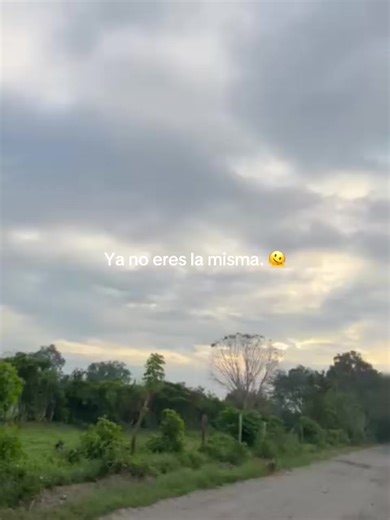 Transforming Through Change: Embrace Your Evolution