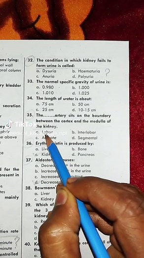 What’s your answer ? #anatomy #renal #artery #nephrology #medicalknowledge #foryou