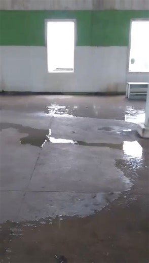 10K views · 125 reactions |...