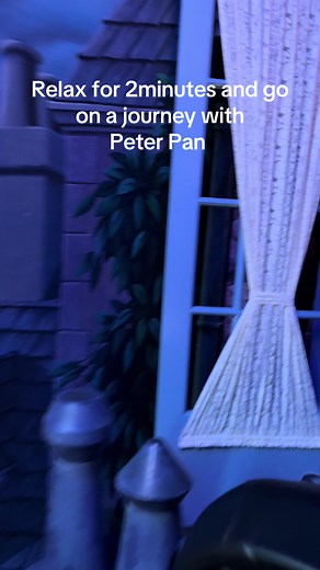 Come fly with Peter and no trending audio! #disney #disneyfyp #peterpan #captainhook #dlp @Disney Parks @Disney Parks UK @Disney UK @Disneyland Paris ✨