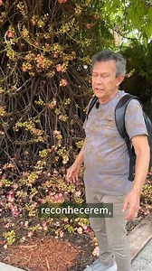 65K views · 3.1K reactions |  Direto do Fairchild Tropical Garden,...