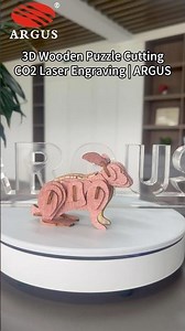3D Wooden Puzzle Laser Cutting CO2 Laser Engraving | ARGUS LASER