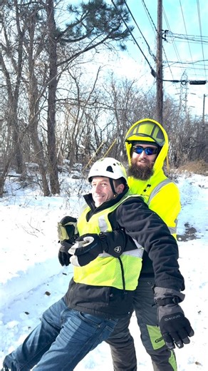 City of St. Louis Park on Instagram: "Trust us: It’s important to know your trees are in good hands🌳 By requiring tree contractors to be licensed by the city, you can trust they are qualified to do the job. We have a list of the more than 60 licensed tree contractors in St. Louis Park on our webpage. Check it out at the link in our bio (www.stlouisparkmn.gov/trees)🔗"