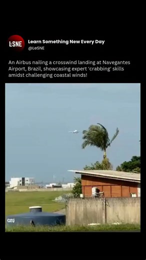 @LeSNE on Instagram: "@LeSNE(2374)...A crosswind landing is a maneuver in aviation where pilots land an aircraft with a wind component blowing across the runway. Video credits: Obvious_Shoe7302/ Reddit . *Follow to Learn Everyday* @learn_something_new_every_day_ @learn_something_new_every_day_ @learn_something_new_every_day_ *Share if You Love to Learn* . #aviation #airbus #interesting #brazil #learn_something_new_everyday_ #learn_something_new_every_day_"
