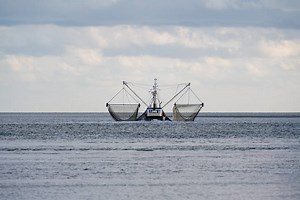 DUTCH FISHERIES CHART A COURSE TO END OVERFISHING