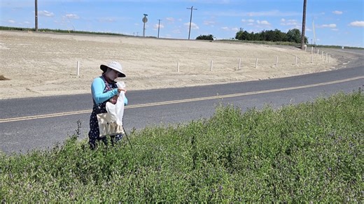 NC State graduate one of many scientists hit by federal workforce cuts