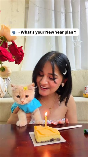 Dikshaaonly on Instagram: "Happy New Year everyone ❤️ #cat #bangalore #kitty #newyear"