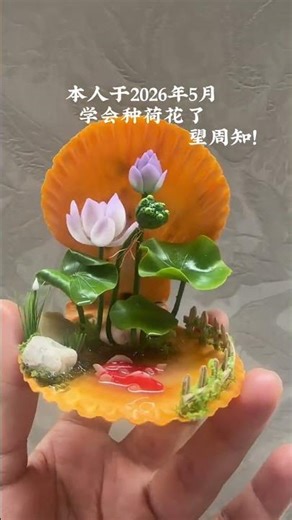 Grow Lotus Flowers in Shells: A Unique Gardening Hack