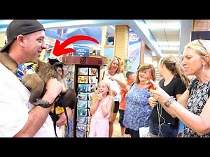 Monkeys Visit Ron Jons Surf Shop!