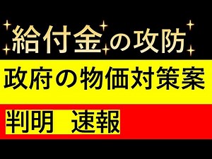 Breaking News: Government proposals for subsidies and tax cuts to combat rising prices revealed