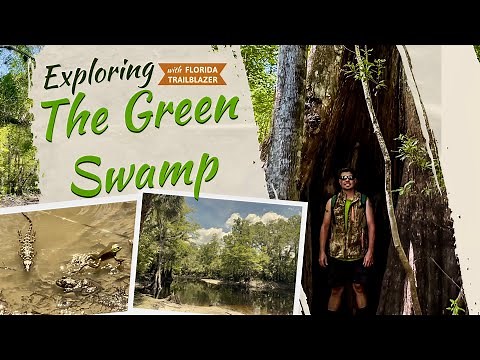 Adventures in The Green Swamp (Withlacoochee Cypress)