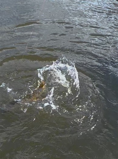 #fishing #lure #handmade #lurefishing #alien_predator_lures