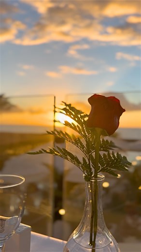 ¡Una noche mágica! En el H10 Gran Tinerfe celebramos la Navidad con una Gala muy especial, pensada para ofrecer a todos nuestros huéspedes una cena exclusiva, cuidada al detalle y acompañada de un servicio profesional, cercano y entrañable, acorde a unas fechas tan señaladas. La cuidada decoración navideña, el ambiente acogedor y la mejor compañía crearon el escenario perfecto para compartir una velada única, llena de sabor, luz y momentos inolvidables. Cada espacio del hotel se llenó de magia, 