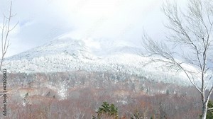 Frozen Forest Covered By Snow (snow monsters) in Hakkoda mountain range, Aomori, Japan