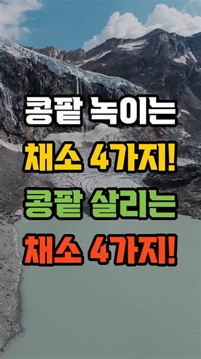 콩팥 녹이는 채소 4가지 vs 콩팥 살리는 채소 4가지! #콩팥건강 #신장질환 #채소궁합 #고칼륨채소 #저칼륨채소 #시니어건강 #이슈 #치매예방