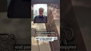 The Interplay of Light Shadow, and why it matters | Shelly Bryant