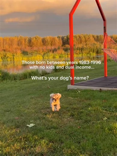 Woofz Dog Training on Instagram: "Calling all millennial dog parents💛👀"