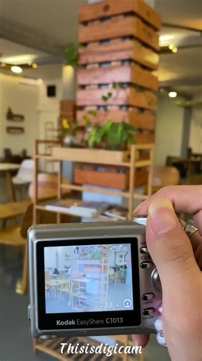 Kodak EasyShare C1013: Capture Moments with Ease