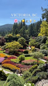 1.7K views · 128 reactions | There is still time to fit in these...