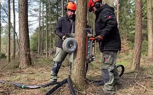 国外树枝修剪器advaligno PATAS的详细视频