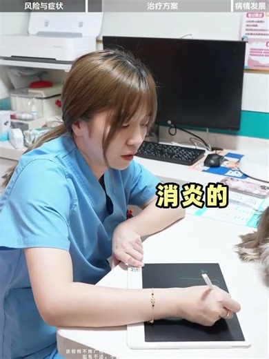 How can a dog recover if its eye is scratched#dog#The dog s eye is injured#The dog has