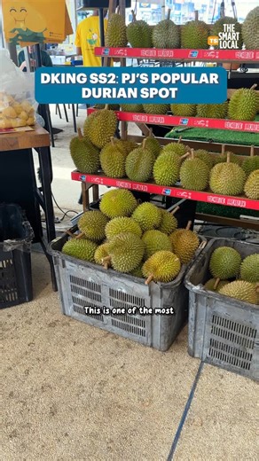 Craving durians but dunno where to go? 👀We checked out DKing SS2, one of PJ’s popular durian spots to see if it’s worth the visit🔥 #durian #makan #ss2 #malaysia #kl #musangking | The Smart Local Malaysia