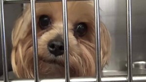 27K views · 819 reactions | MAE is a beautiful little lady and she...