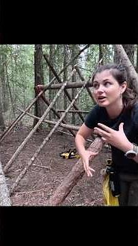Solo Survival Camping & Building a Log Shelter